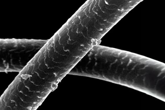 Understanding Hair Grafts